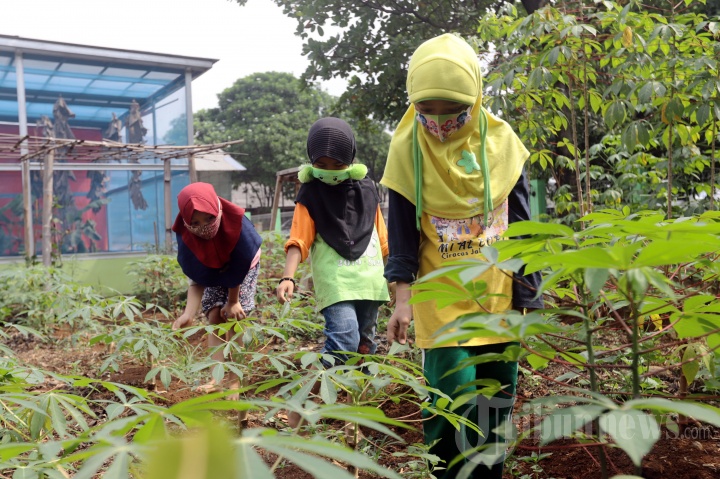 Edukasi Urban Farming