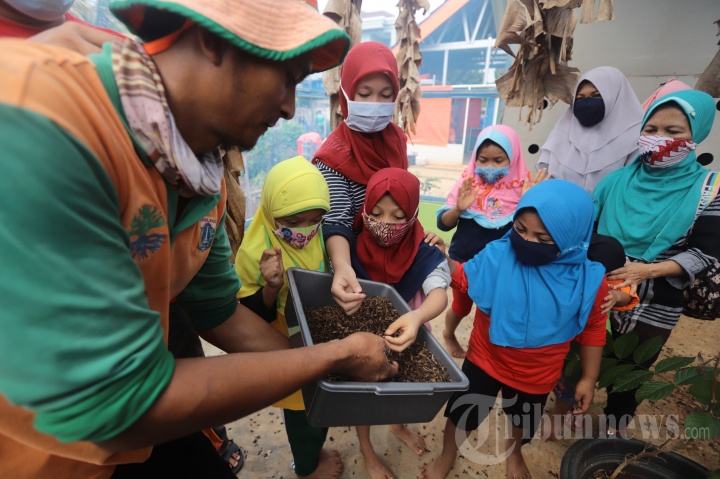 Edukasi Urban Farming