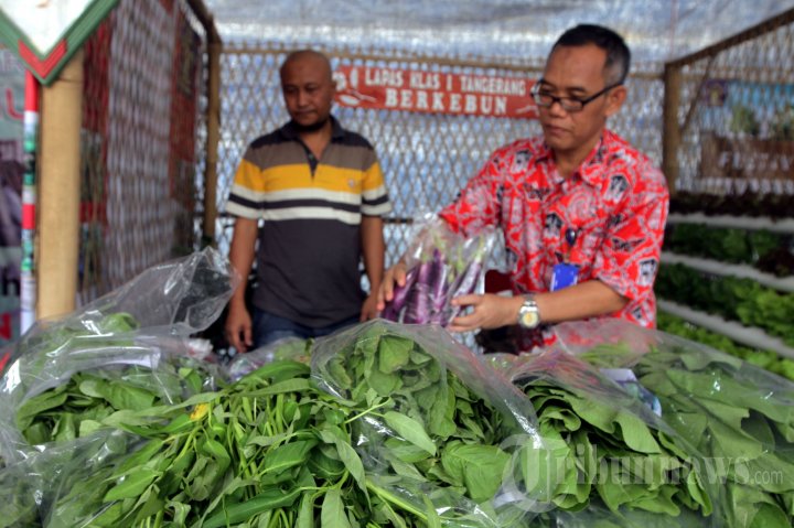 Festival Napi Berkebun