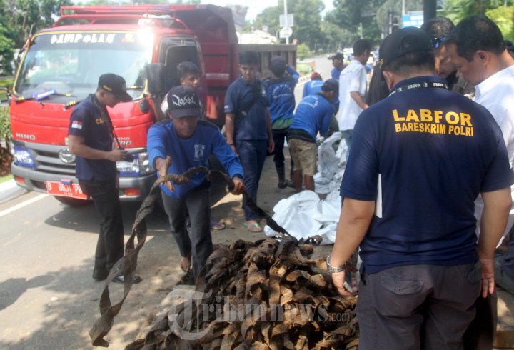 Forensik Mabes Polri Lakukan Olah TKP Kulit Kabel