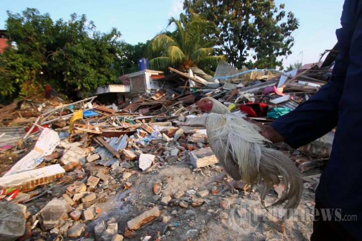 Gempa dan Tsunami di Palu