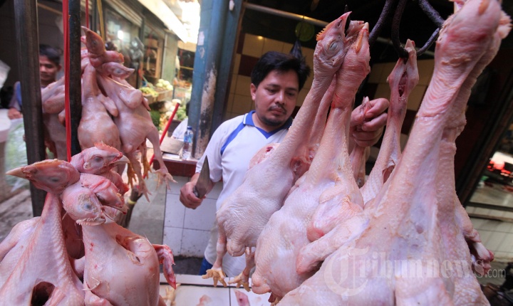 Harga Ayam Potong di Pasar Anyar Bandung Masih Tinggi