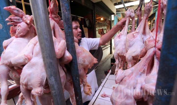 Harga Ayam Potong di Pasar Anyar Bandung Masih Tinggi
