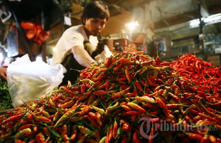 Harga Cabai Rawit Merah Masih Tinggi