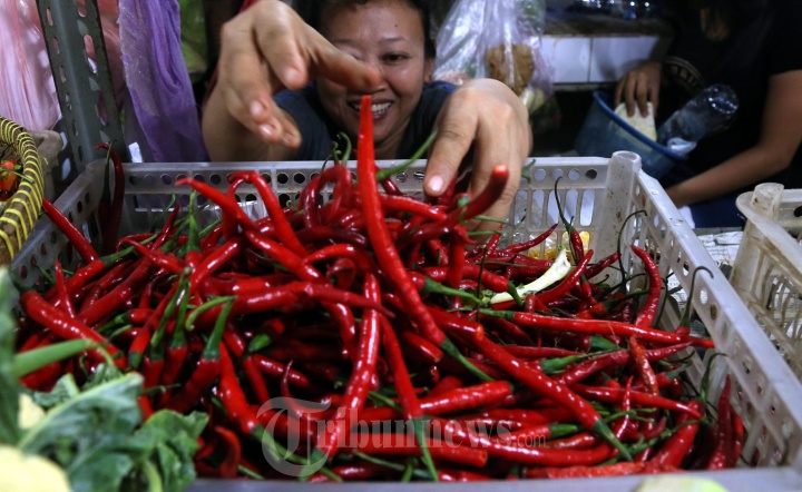 Harga Cabe Tembus Rp 150 Ribu Perkilo
