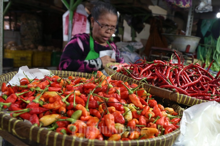 Harga Cabe Tembus Rp 150 Ribu Perkilo
