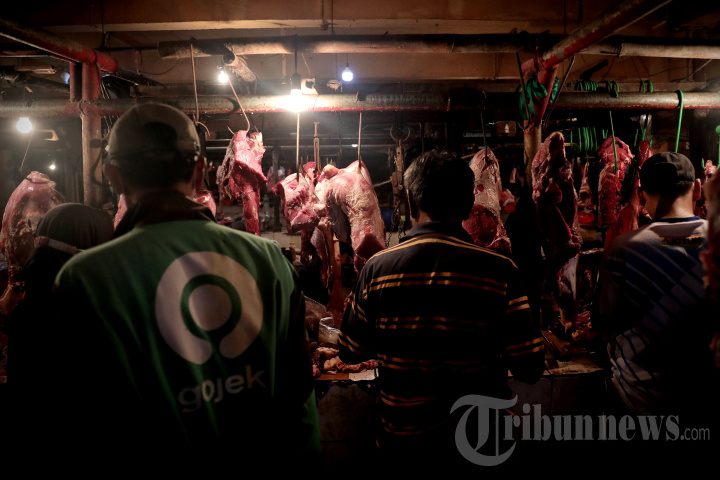 Harga Daging Sapi Masih Tinggi