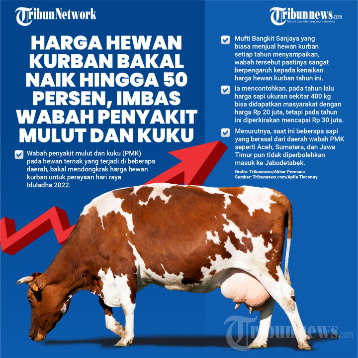 Harga Hewan Kurban Bakal Naik 50 Persen