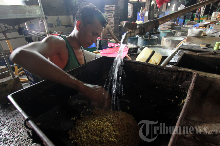 Harga Kedelai Impor Naik