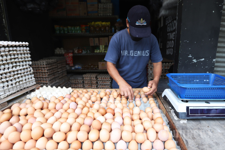 Harga Telur Meroket di Pasaran Jelang Pergantian Tahun