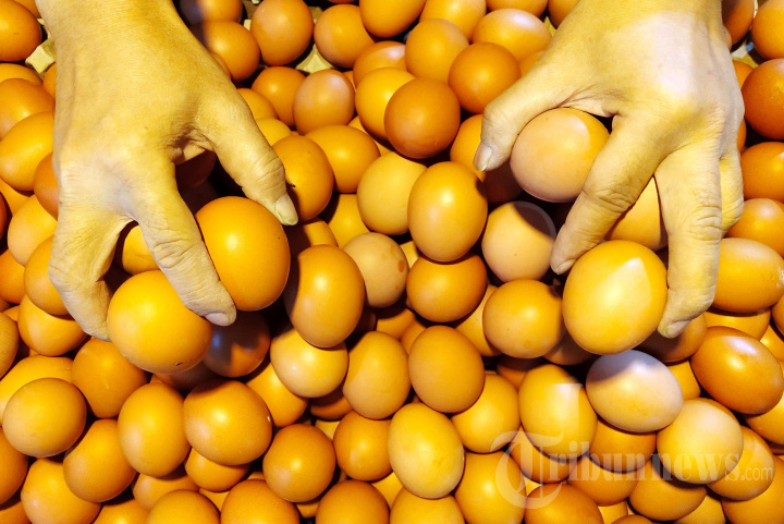 Harga Telur Naik, Omzet Pedagang Turun