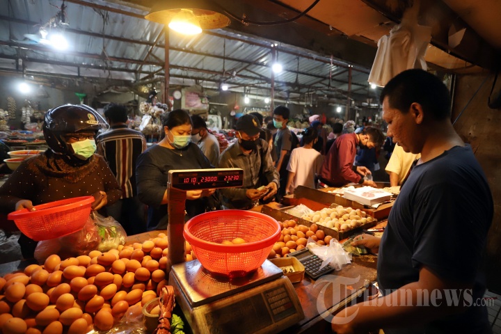 Harga Telur Turun di Masa Pandemi Covid-19