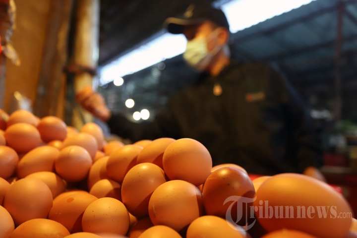 Harga Telur Turun di Masa Pandemi Covid-19