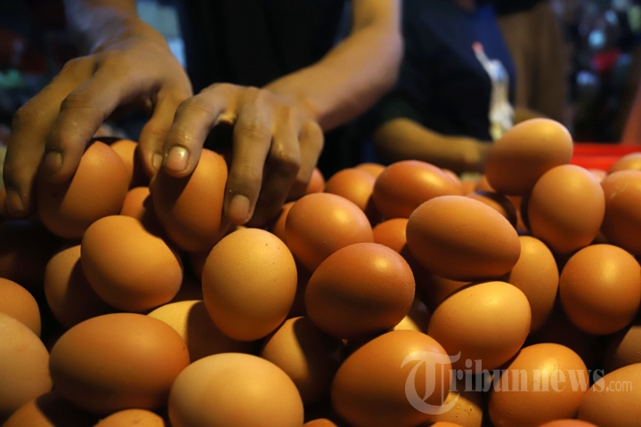 Harga Telur Turun di Masa Pandemi Covid-19