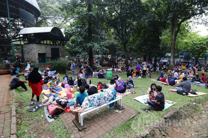 Hari Kedua Lebaran Ragunan Diserbu Pengunjung