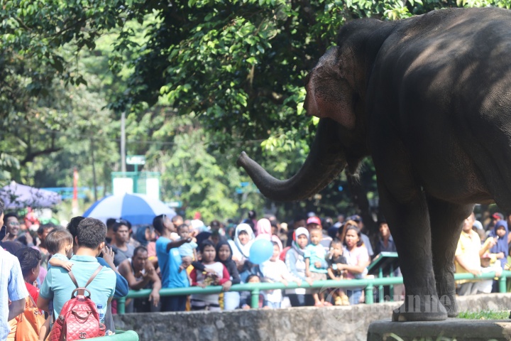 Hari Kedua Lebaran Ragunan Diserbu Pengunjung