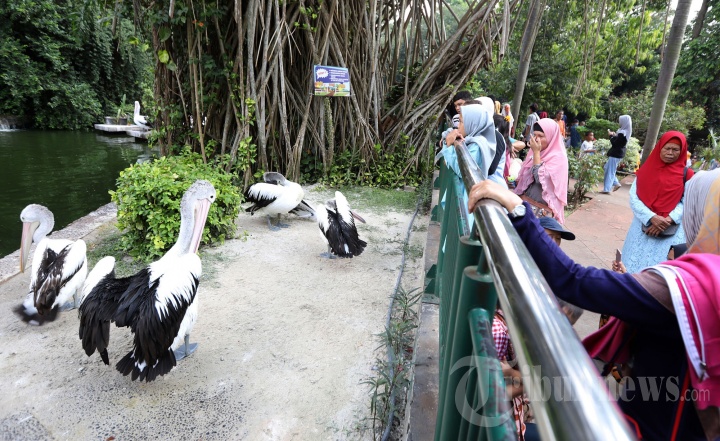 Hari Kedua Lebaran Ragunan Diserbu Pengunjung