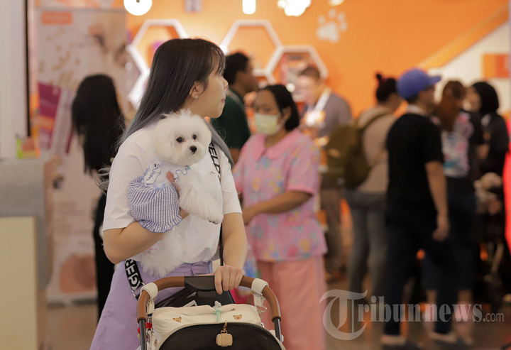 IIPE 2023 Lindungi dan Lestarikan Keanekaragaman Fauna Indonesia