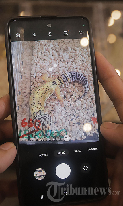 IIPE 2023 Lindungi dan Lestarikan Keanekaragaman Fauna Indonesia