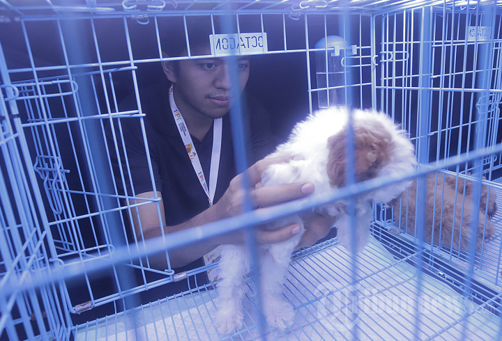 IIPE 2023 Lindungi dan Lestarikan Keanekaragaman Fauna Indonesia