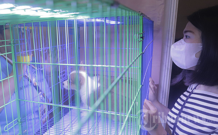 IIPE 2023 Lindungi dan Lestarikan Keanekaragaman Fauna Indonesia