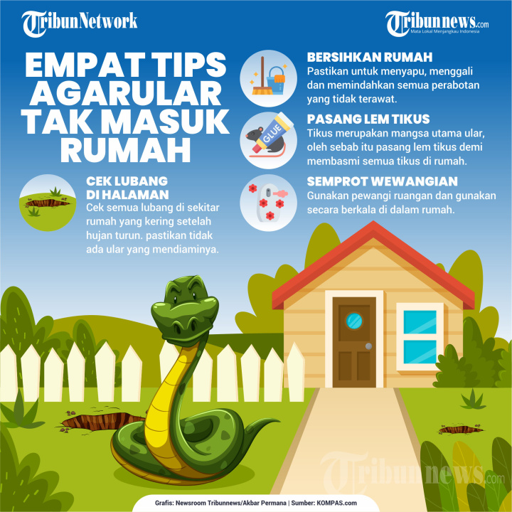 INFOGRAFIK 4 Tips Agar Ular Tak Masuk Rumah