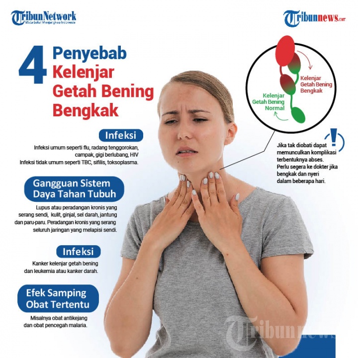 Infografis 4 Penyebab Kelenjar Getah Bening Bengkak