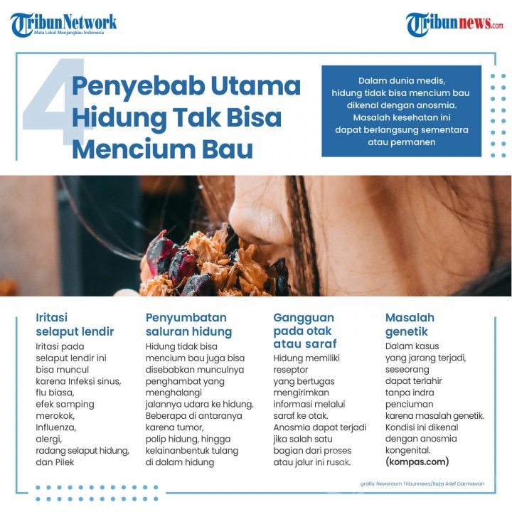 Infografis Penyebab Utama Hidung Tak Bisa Mencium Bau