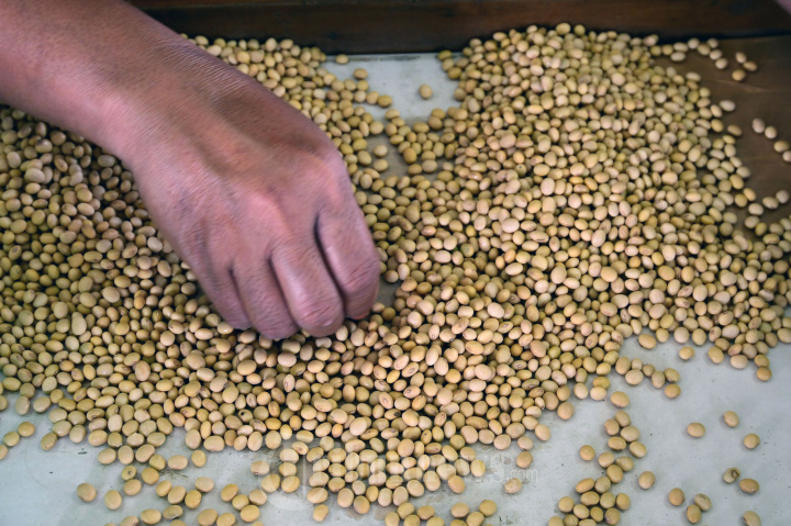 Inovasi Kedelai Varietas Unggul di Balitkabi Jatim