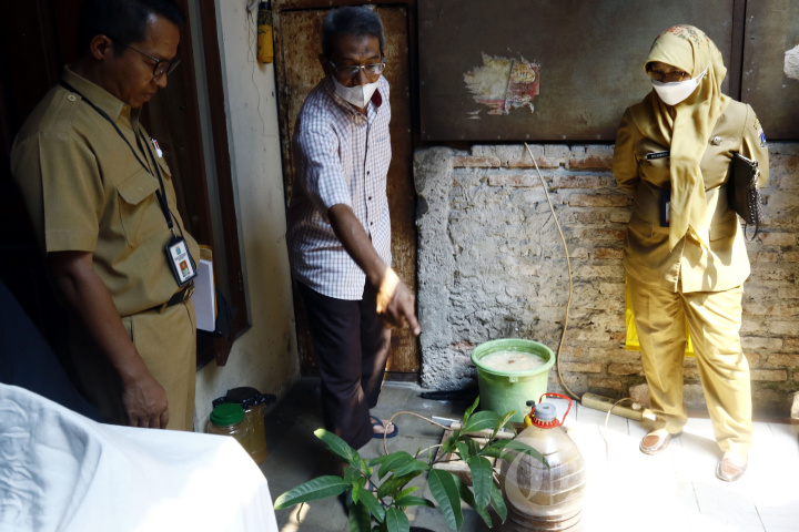 Inovasi Tanaman Anti Nyamuk
