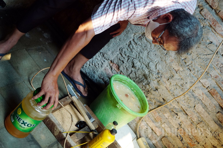 Inovasi Tanaman Anti Nyamuk