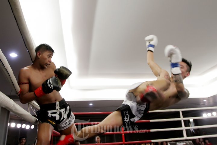 James dan Hamam Saling Pukul di Kejuaraan Muay Thai