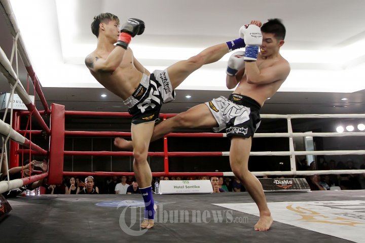 James dan Hamam Saling Pukul di Kejuaraan Muay Thai