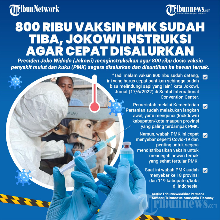 Jokowi Instruksikan 800 Vaksin PMK Segera Disalurkan