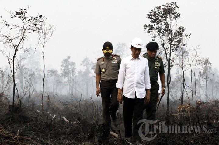 Jokowi Tinjau Kebakaran Hutan