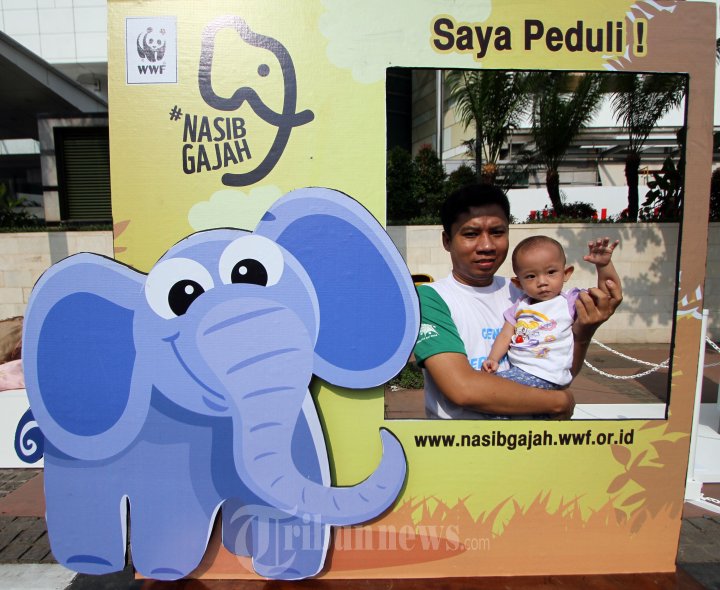 Kampanye Penyelamatan Gajah Sumatera