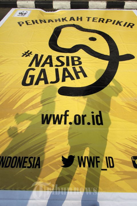 Kampanye Penyelamatan Gajah Sumatera