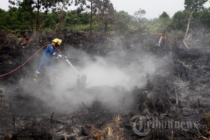 Kebakaran Lahan Kembali Terjang Pekanbaru