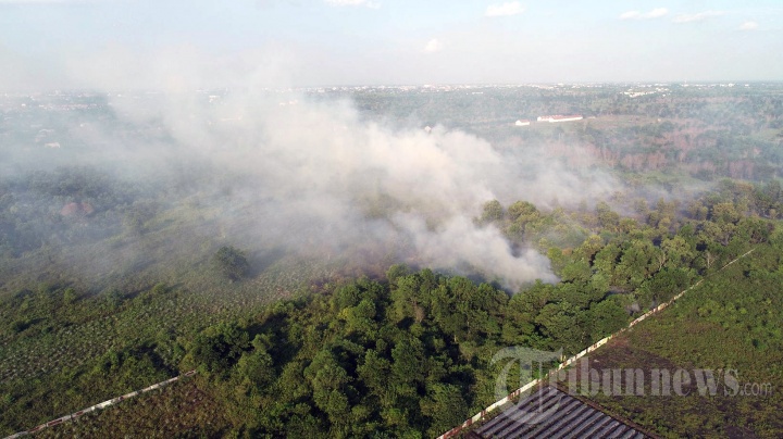 Kebakaran Lahan di Pontianak