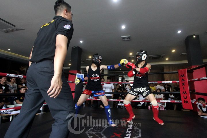 Kejuaraan Maximum Fight