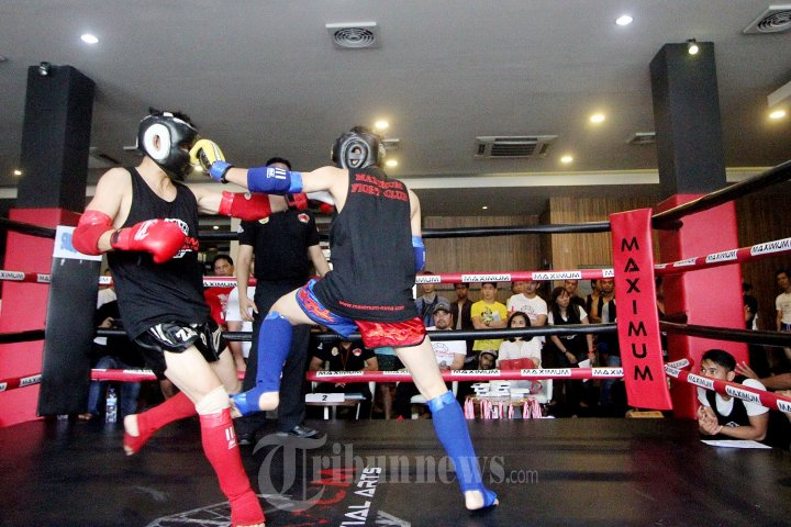 Kejuaraan Maximum Fight