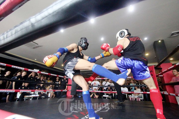 Kejuaraan Maximum Fight