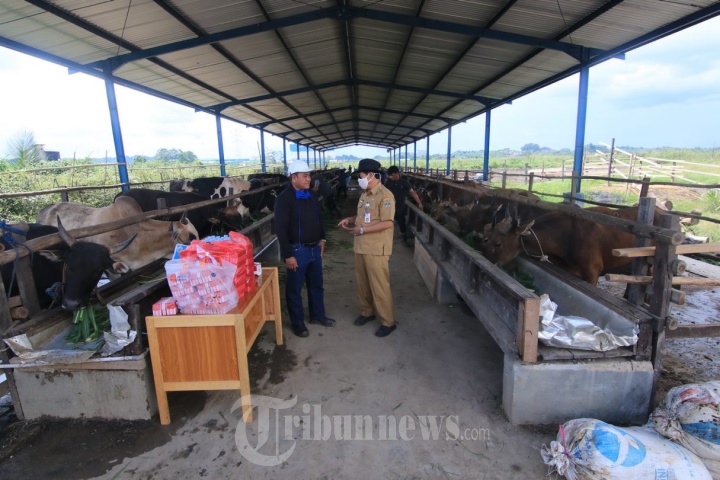 Kepala DPKH Kaltim Kunjungi Peternak