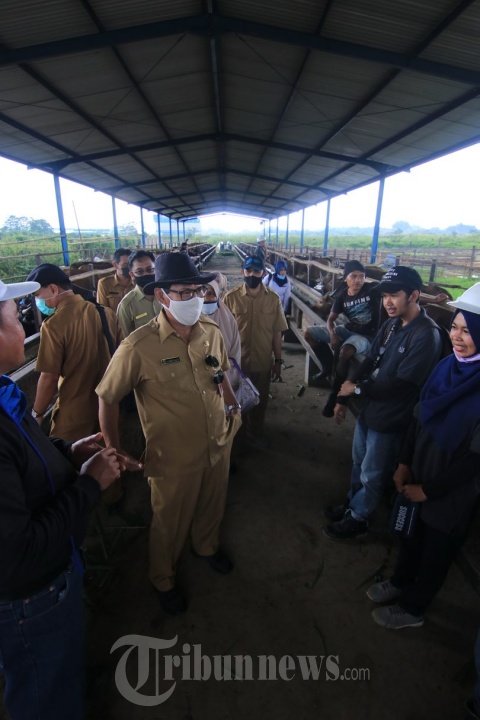 Kepala DPKH Kaltim Kunjungi Peternak