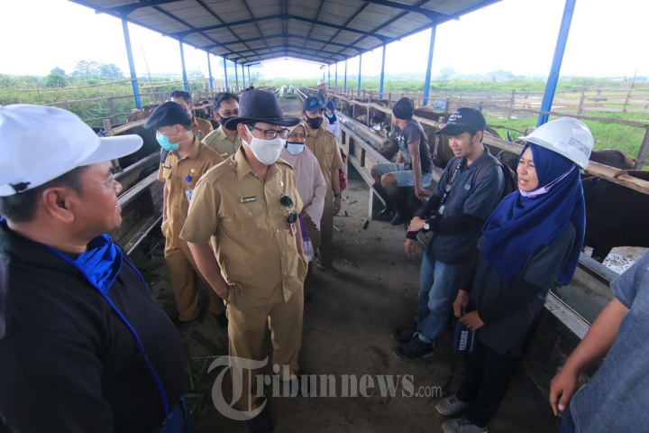 Kepala DPKH Kaltim Kunjungi Peternak
