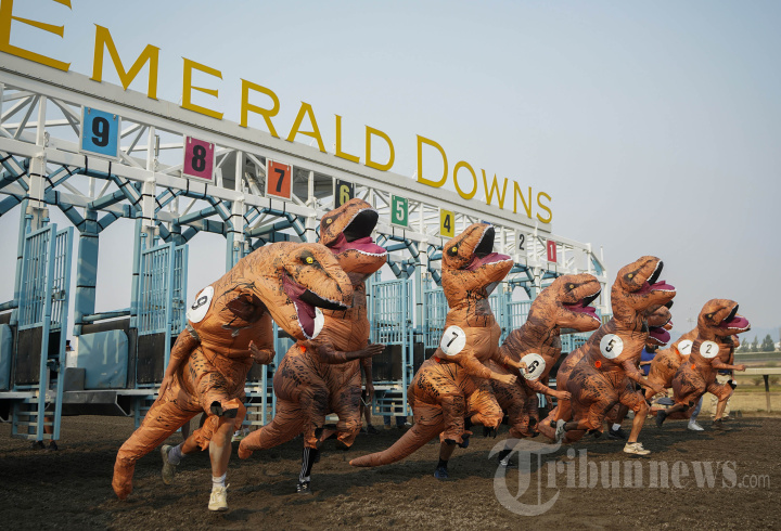 Keseruan Lomba Balap T-Rex di Amerika Serikat