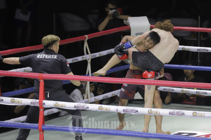 Kick Boxing Mixed Martial Arts (MMA) Indonesia vs Irlandia