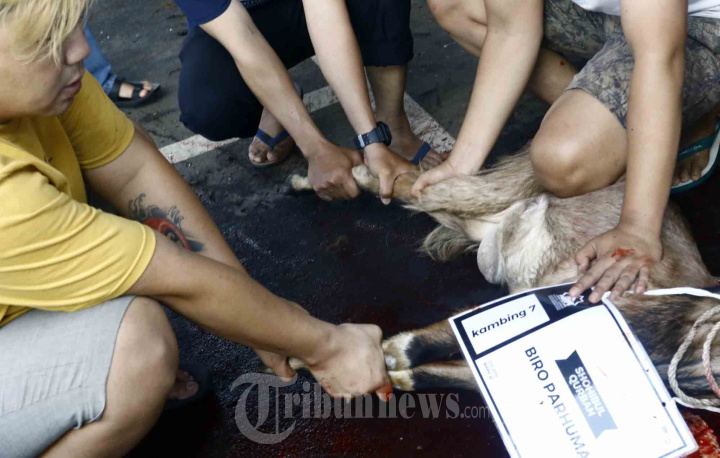 KPU Potong Hewan Kurban Idul Adha 1444 H