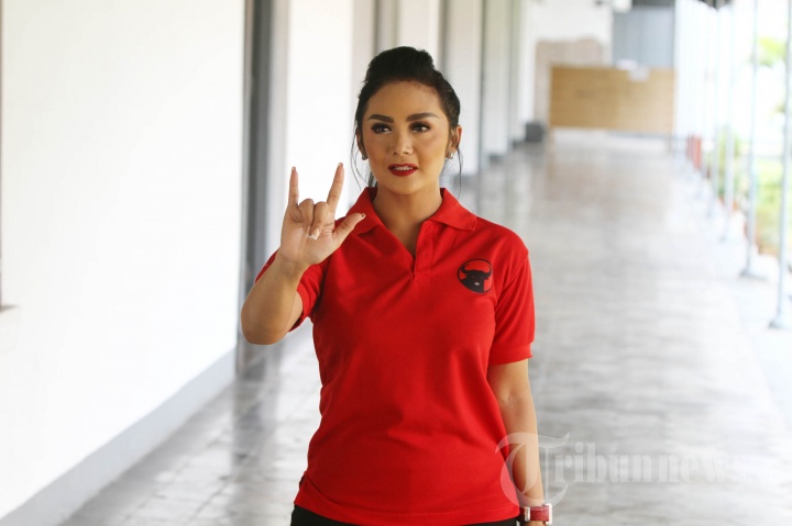 Krisdayanti Caleg PDI Perjuangan