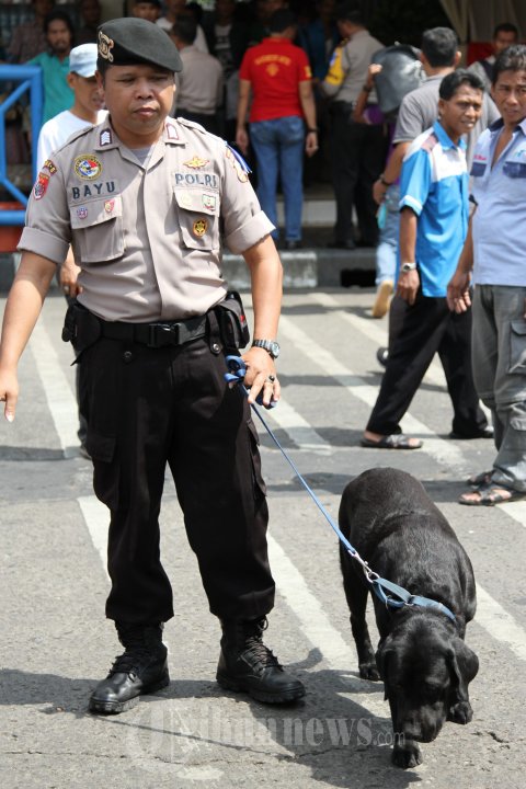 Kuda dan Ajing Pelacak Jaga di Terminal KP Rambutan